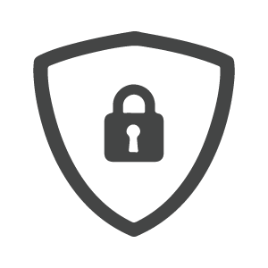 vulnerability-icon