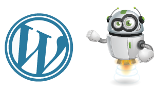 wordpress-development032